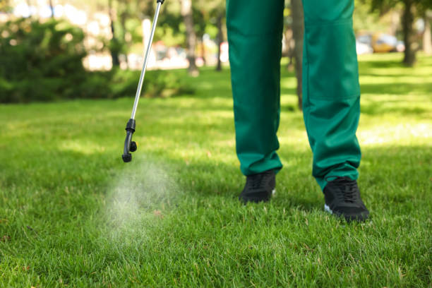 Best Exterminator Services  in Beresford, SD