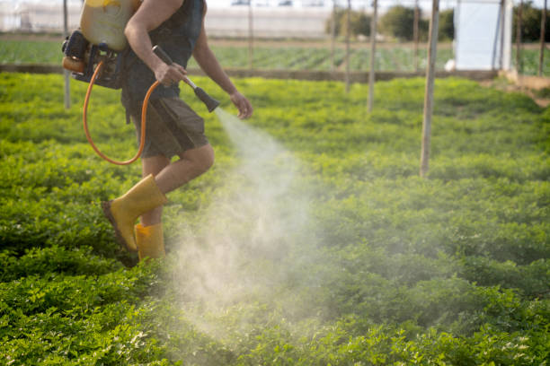 Best Commercial Pest Control Services  in Beresford, SD