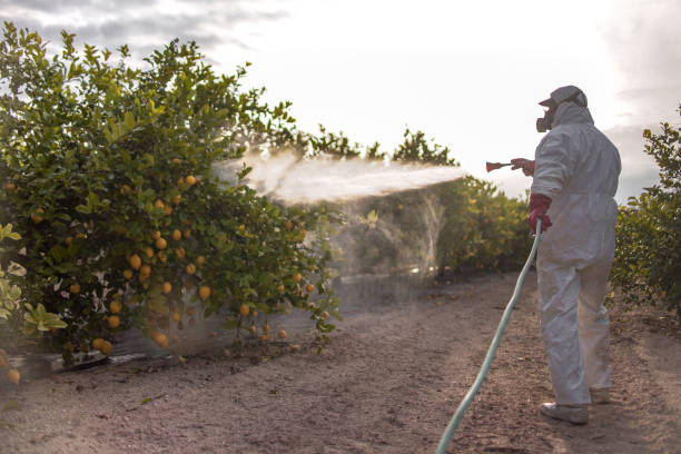 Best Pest Inspection Near Me  in Beresford, SD