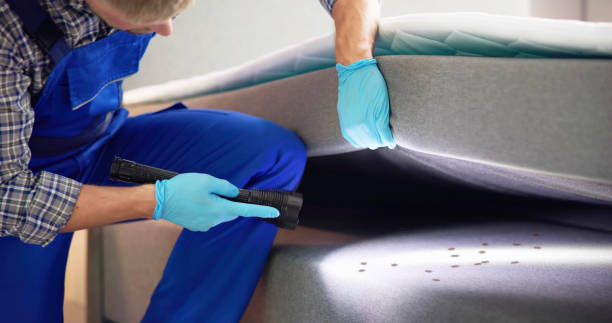 Pest Prevention Services in Beresford, SD