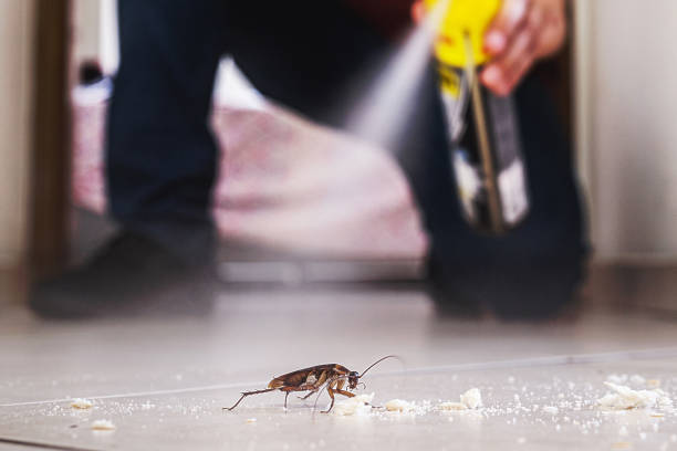 Best Affordable Pest Control Services  in Beresford, SD