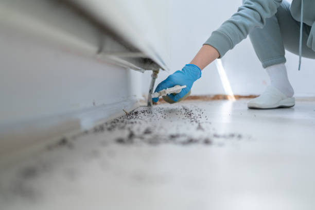 Best Bed Bug Extermination  in Beresford, SD